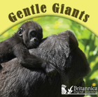 Gentle Giants, ed. , v. 