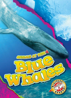 Blue Whales, ed. , v. 