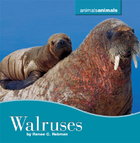 Walruses, ed. , v. 