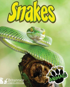 Snakes, ed. , v. 