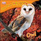 Owl, ed. , v. 