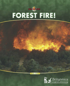 Forest Fire!, ed. , v. 