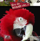 How Do Animals Use...?, ed. , v. 