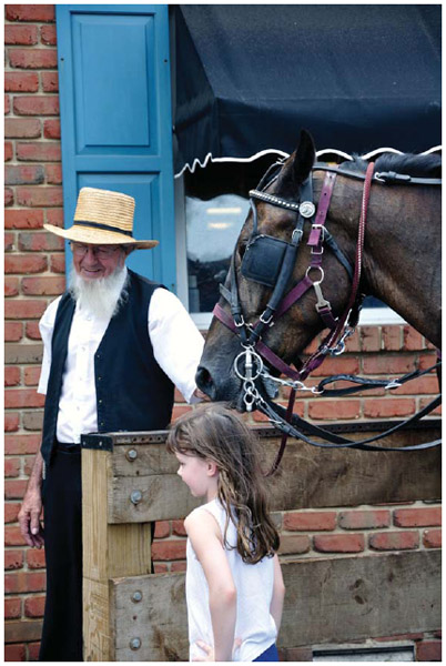 An Amish man in Amish Country, Pennsylvania.